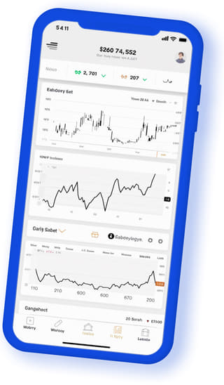 Pusula Sermayec digital web application on mobile device